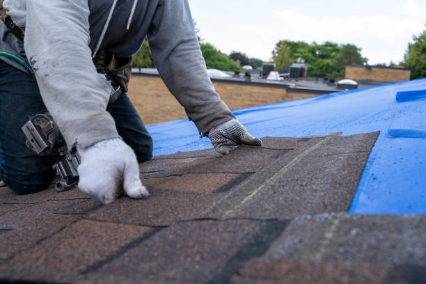 Best Gutter Installation and Roofing  in White Sulphur Springs, WV