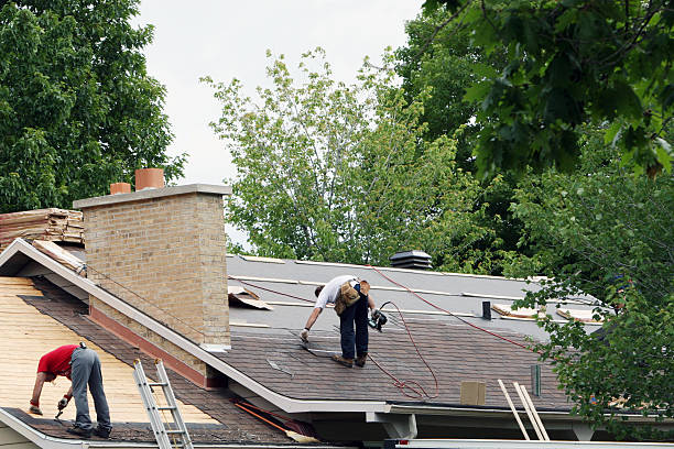 Best Storm Damage Roof Repair  in White Sulphur Springs, WV