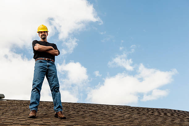 Roof Gutter Cleaning in White Sulphur Springs, WV